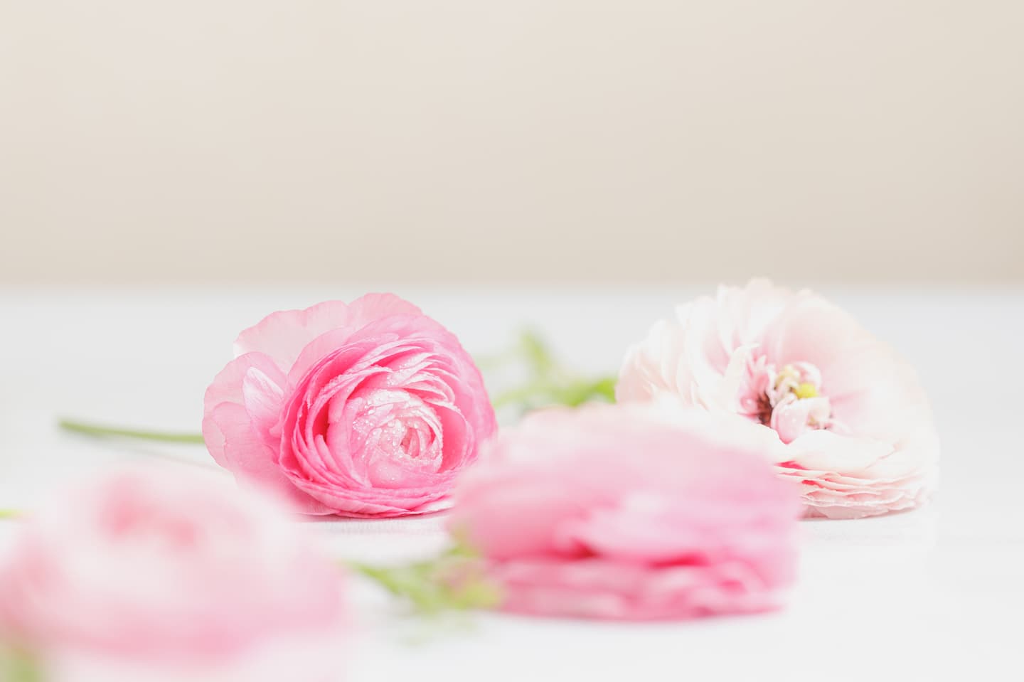 やさしいカラー